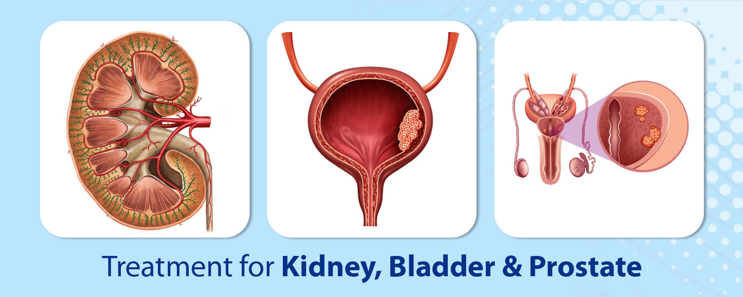 kidney bladder prostate